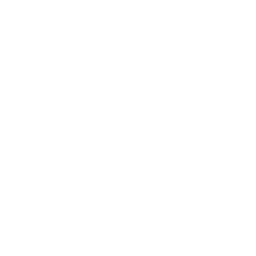It Services