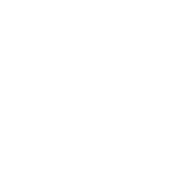 It Services
