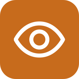 vision