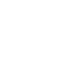 SD-WAN Services