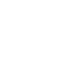 Website Development